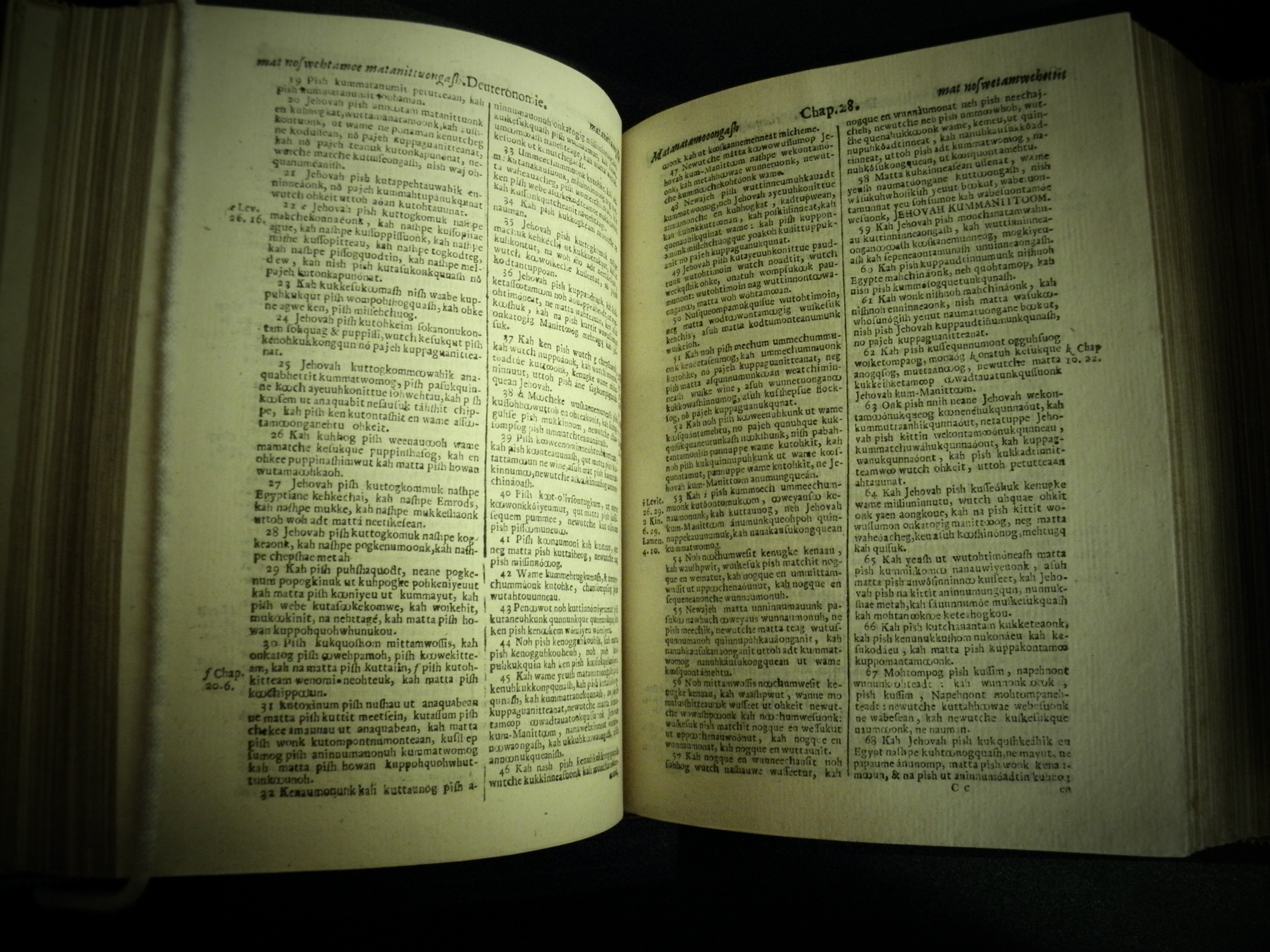 First edition of the Eliot Bible opened to the book of Deuteronomy. (A 1663 .B53. Tracy W. McGregor Library of American History. Photograph by Donna Stapley)
