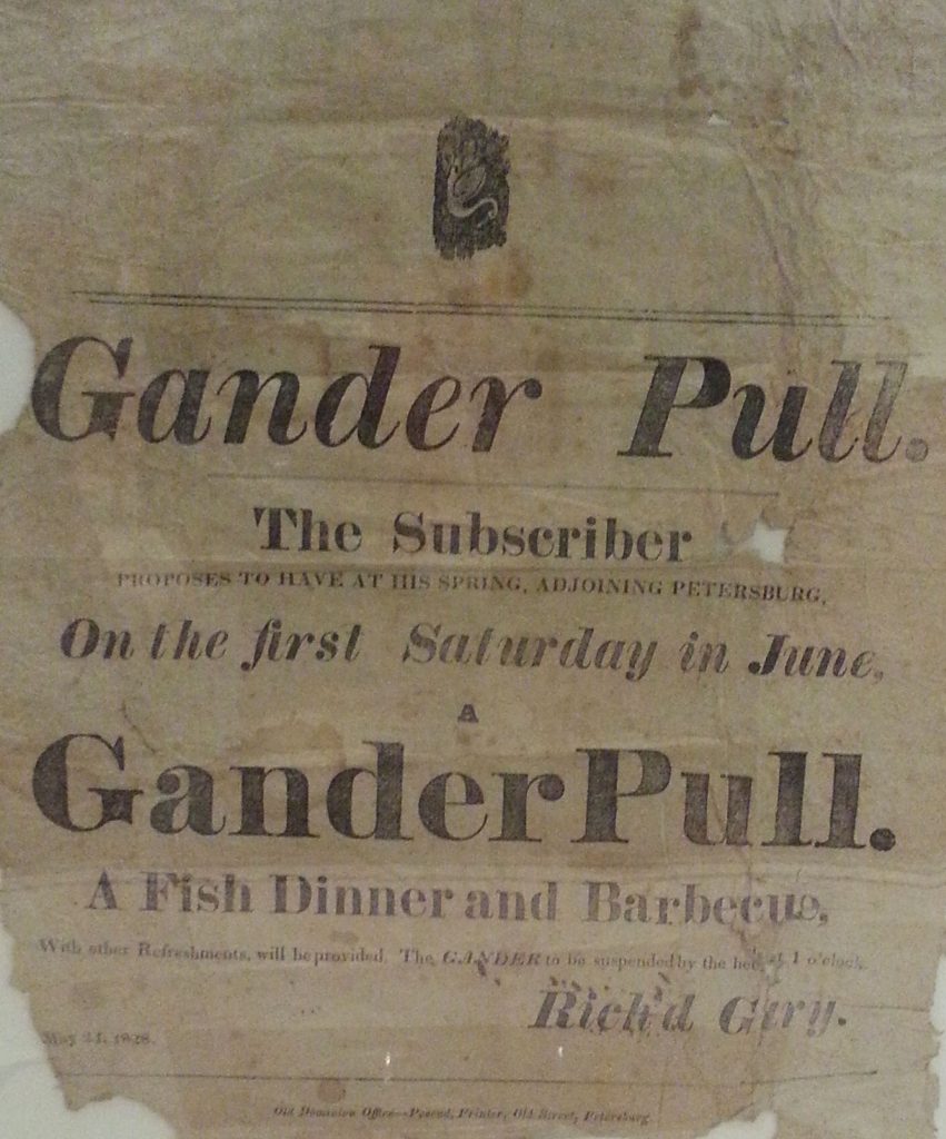 Gander Pull. Photograph by Petrina