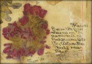 detailed insert of page with a pressed flower