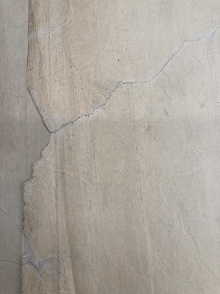 Image of an off-white paper with a tear in the middle that has been mended over with a lighter, white transparent paper.